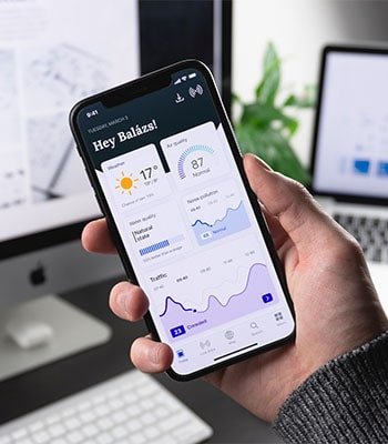Portfolio Image